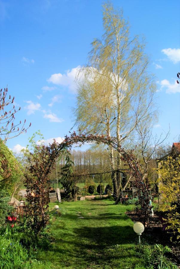 Losiowate Gospodarstwo Agroturystyczne Rybaki  Exterior foto