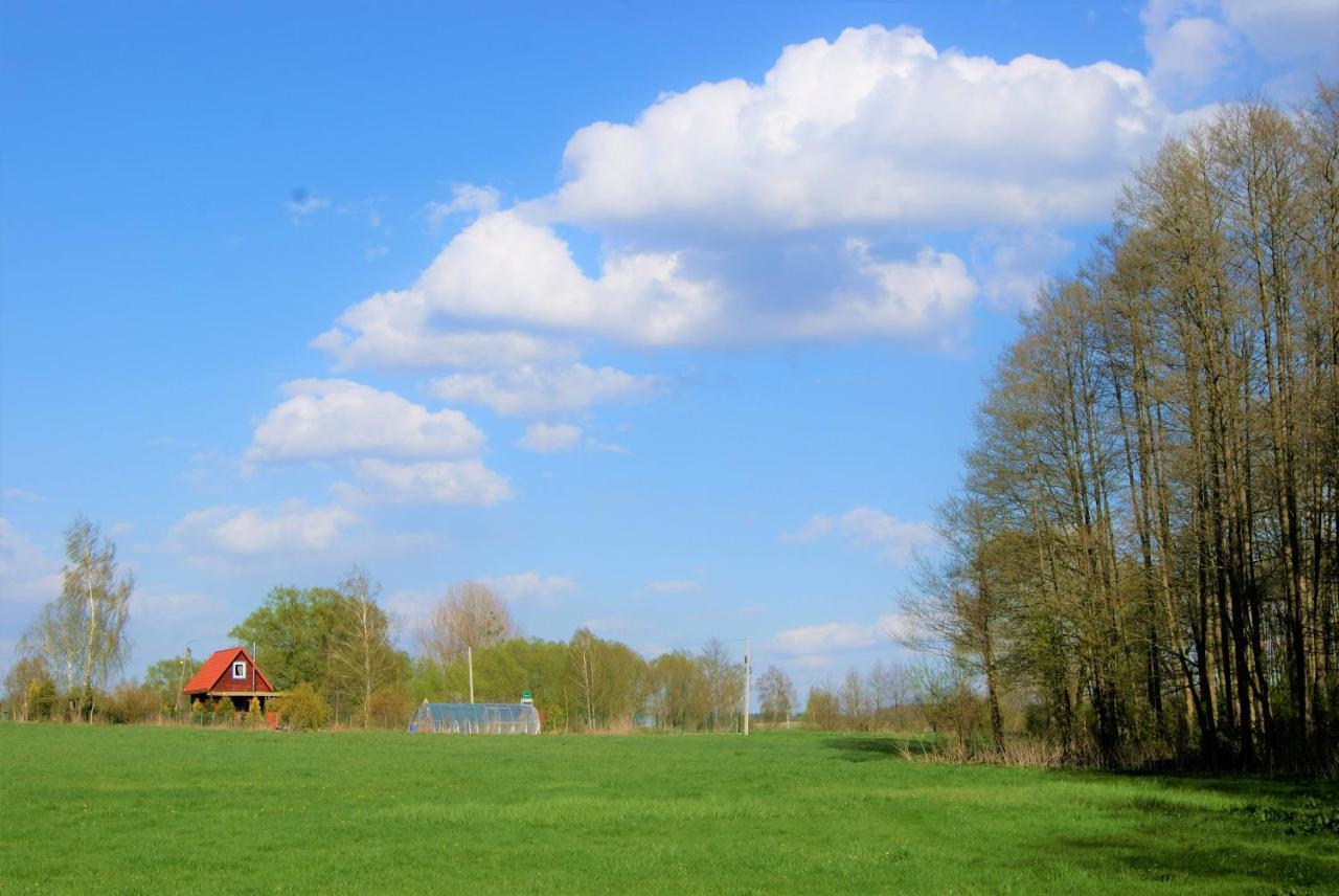 Losiowate Gospodarstwo Agroturystyczne Rybaki  Exterior foto