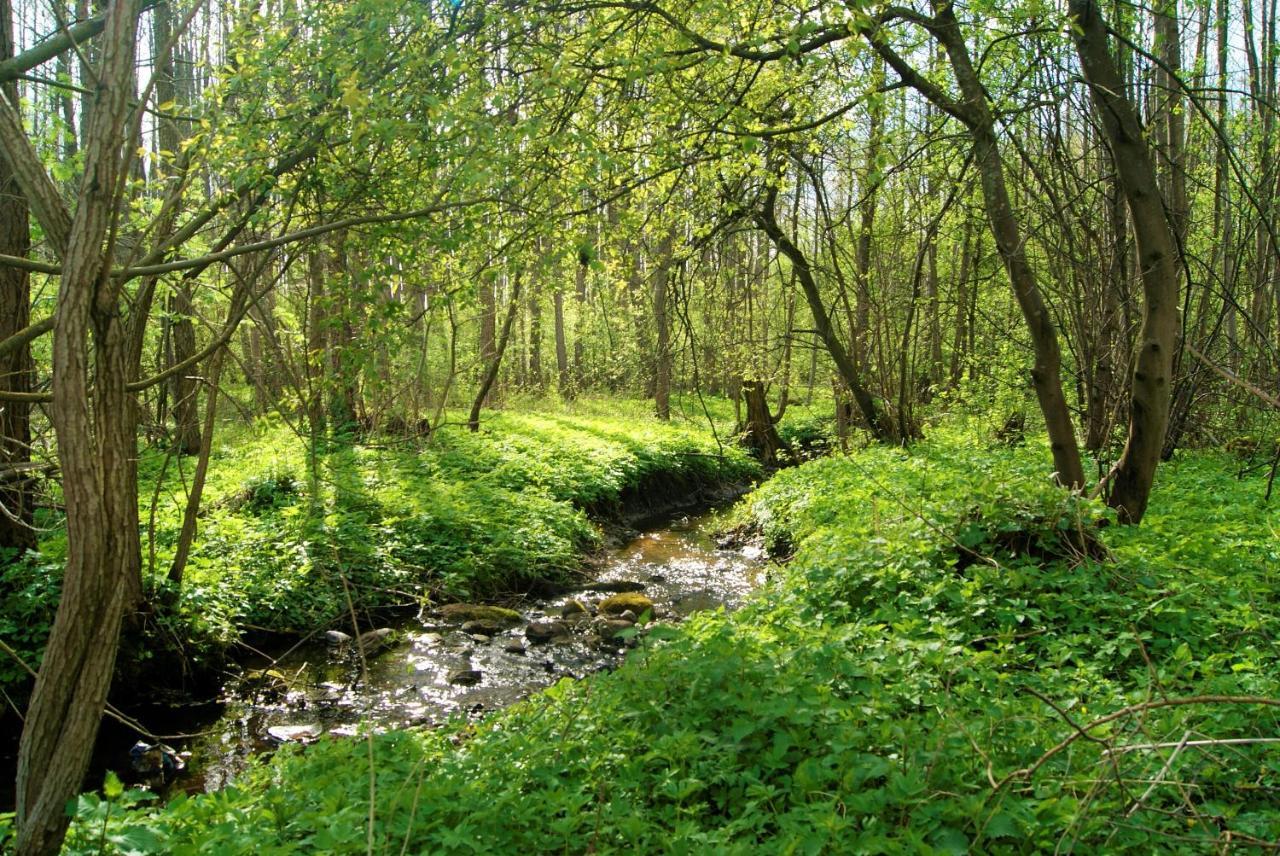 Losiowate Gospodarstwo Agroturystyczne Rybaki  Exterior foto