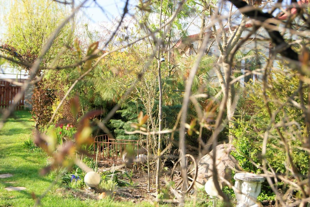 Losiowate Gospodarstwo Agroturystyczne Rybaki  Exterior foto